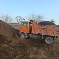 کود گاوی و گوسفندی