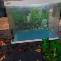 آکواریوم باتمام وسایل