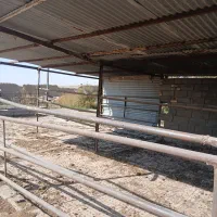 خانه مسکونی همراه با دامداری|فروش خانه و ویلا|نیشابور, منظر|دیوار