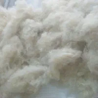 حلاجی پشم ( دیتمه ) با دستگاه