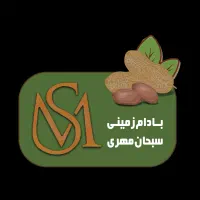 نیروکار اقا