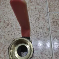 شیر سالمو سنگین