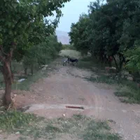 فروش-استثنایی-باغ-سرمایه-گذاری-مطمئن