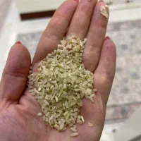 برنج نیم دانه