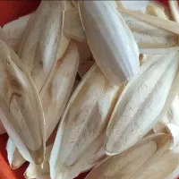 کف دریا|عمدهفروشی|بوشهر, |دیوار