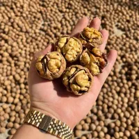 *گردوی ناب تویسرکان*