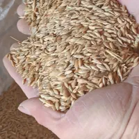 جو محلی تمیز درجه یک