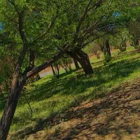 فروش باغ چهارمحال و بختیاری|فروش زمین و ملک کلنگی|بابا حیدر, |دیوار