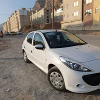 207 خشک تیوتری