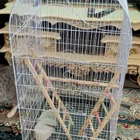 قفس  پرنده تزئینی درحد نو
