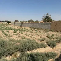 زمین باغی اصغر اباد