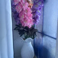 گل با گلدون نو