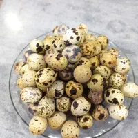 تخم بلدرچین ارگانیک