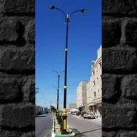 چراغ دلفین(دیواری،چمنی،حیاطی) تولیدکننده مستقیم|لامپ و چراغ|تنکابن, |دیوار