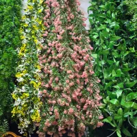 انواع ریسه و آویز بوته گل گیاه مصنوعی شمشاد وشکوفه|گل مصنوعی|تهران, بهارستان|دیوار