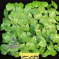 دیوار سبز مصنوعی|گل مصنوعی|مشهد, کوثر|دیوار