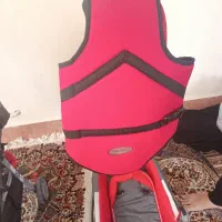 کالسکه|کالسکه و لوازم جانبی|اقبالیه, |دیوار