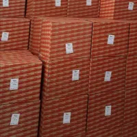 فروش ابگرمکن بوتان ۳۱۱۵ اقساطی|آبگرمکن، پکیج، شوفاژ|نیشابور, شهرک رسولی|دیوار