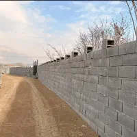 باغ-فروشی-500-متری-درختان-به