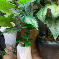 درخت مصنوعی|گل مصنوعی|آفتاب, |دیوار