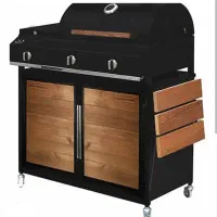 باربیکیو کابینت کباب پز رنگ پرسی ۲۰۲۵ کبابپز درب