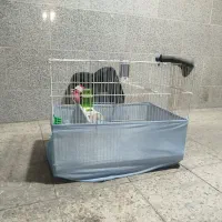 قفس بزرگ با سینی پلاستیکی|لوازم جانبی حیوانات|بندر ماهشهر, |دیوار