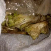 فروش کنگر تازه