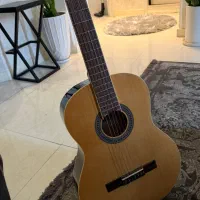 گیتار در حد نو - پونک