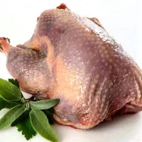 گوشت بوقلمون