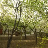 اجاره روزانه باغ ویلا دوبلکس و شیک|اجارهٔ کوتاهمدت ویلا و باغ|شهریار, شهریار|دیوار