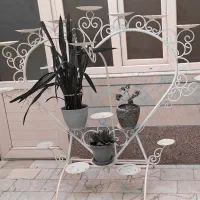 استند گل|گل و گیاه طبیعی|تهران, خاوران|دیوار