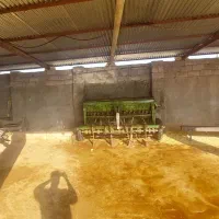 دستگاه برگز همدان|ماشینآلات صنعتی|رامهرمز, |دیوار