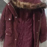 ی عددپالتو درحدنو