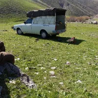 فروش وانت تک برسند