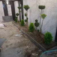 خدمات باغبانی از صفر تا صد در تمام نقاط اصفهان|خدمات باغبانی و درختکاری|اصفهان, پارک سلمان فارسی|دیوار
