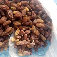 فروش کشمش وافتابی بوانات فروش بالای 100 کیلو|خوردنی و آشامیدنی|خرم بید, |دیوار