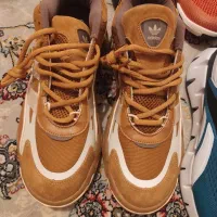 کفش اورجینال|کیف، کفش، کمربند|یاسوج, |دیوار