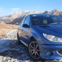 ۲۰۶ لوازمی بی رنگ وپلمپ