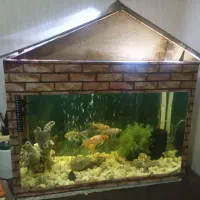 اکواریوم به ماهی ولوازم