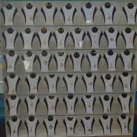 پلاک زنجیر|بدلیجات|زابل, |دیوار