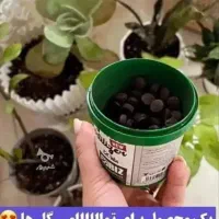 قرص کود ارگانیک