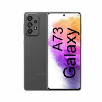 a73