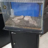 آکواریوم شرکتی ماهیران|ماهی|تهران, صد دستگاه|دیوار