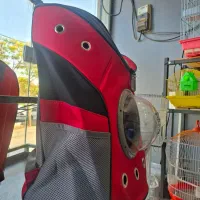 کوله پشتی حباب دار|لوازم جانبی حیوانات|قم, حکمت شمالی|دیوار