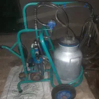 شیردوش در حد نو