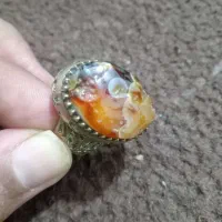 انگشتر سلیمانی لامه