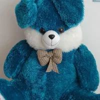 تعدادی عروسک نو و زیبا