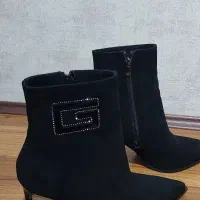 پوتین مجلسی