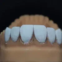 آموزش پودر (پرسلن) گذاری لیرینگ