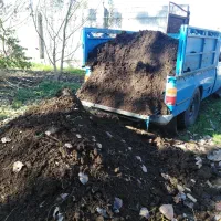 کود حیوانی|خدمات باغبانی و درختکاری|رشت, حومه رشت|دیوار